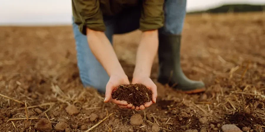 Illustrative image of Organic soil management in Calgary